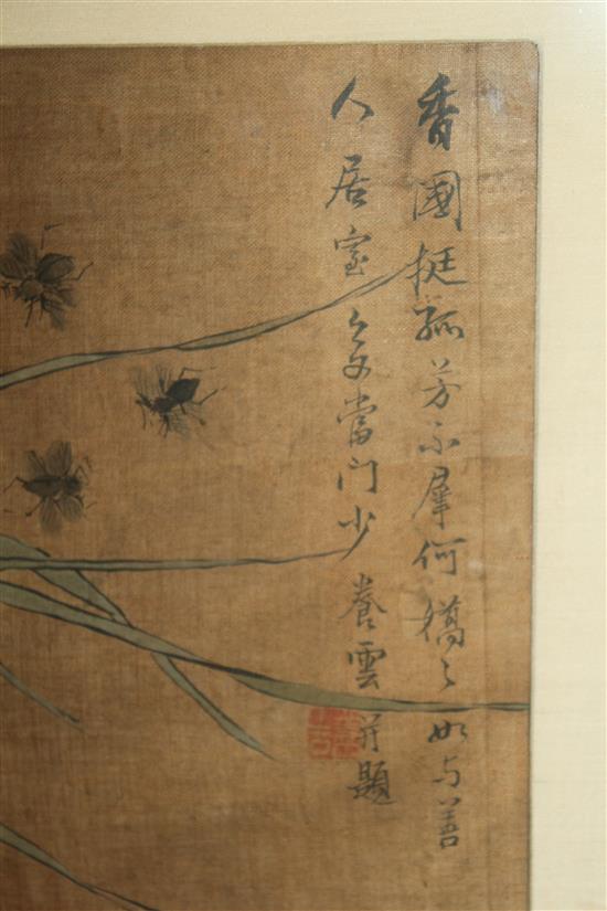 Two Chinese School paintings of insects and flowers on silk, early 20th century, 20 x 31cm, later mounted, framed and glazed